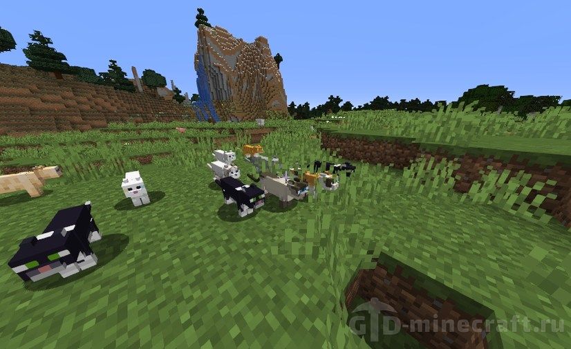 How to tame animals in Minecraft?