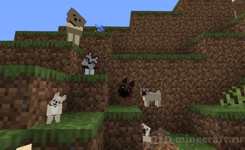 Minecraft Dog Mod How To Install / · doggy talents is a minecraft mod