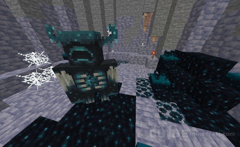 Download Warden's Cave map for Minecraft 1.16.3 for free