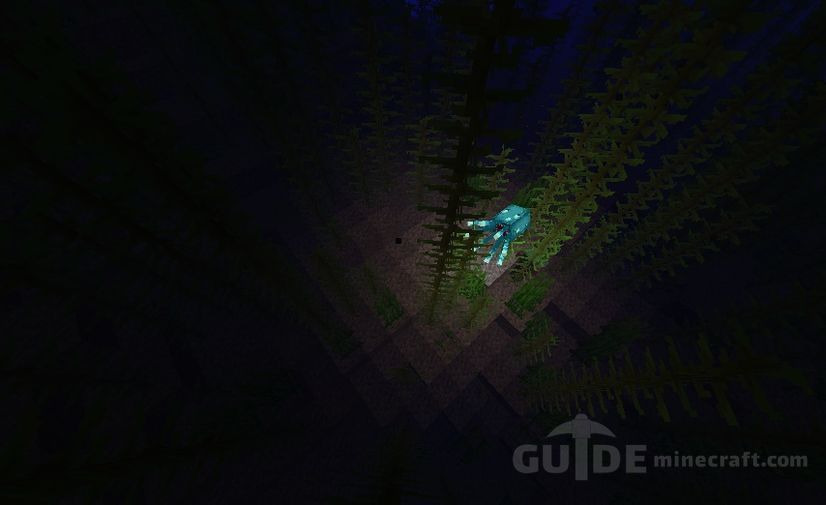 Download Glow Squid mod for Minecraft 1.16.3 for free