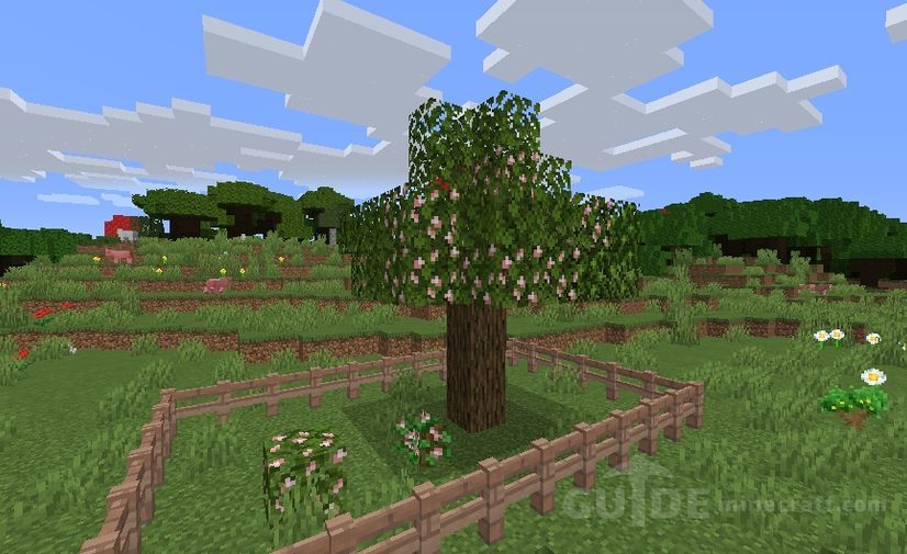Download Fruit Trees mod for Minecraft 1.16.5/1.15.2 for free