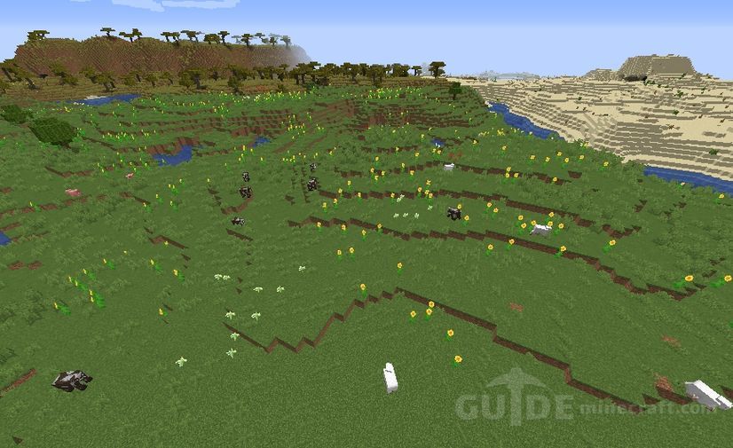 Big Sunflower Plain seed for Minecraft 1.16.5/1.16.4
