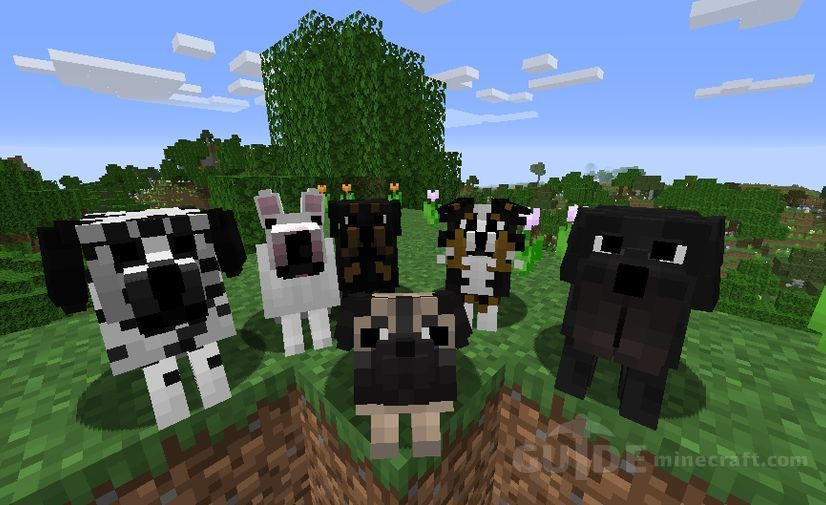 Better Dogs texture pack for Minecraft 1.16.5/1.15.2 for free
