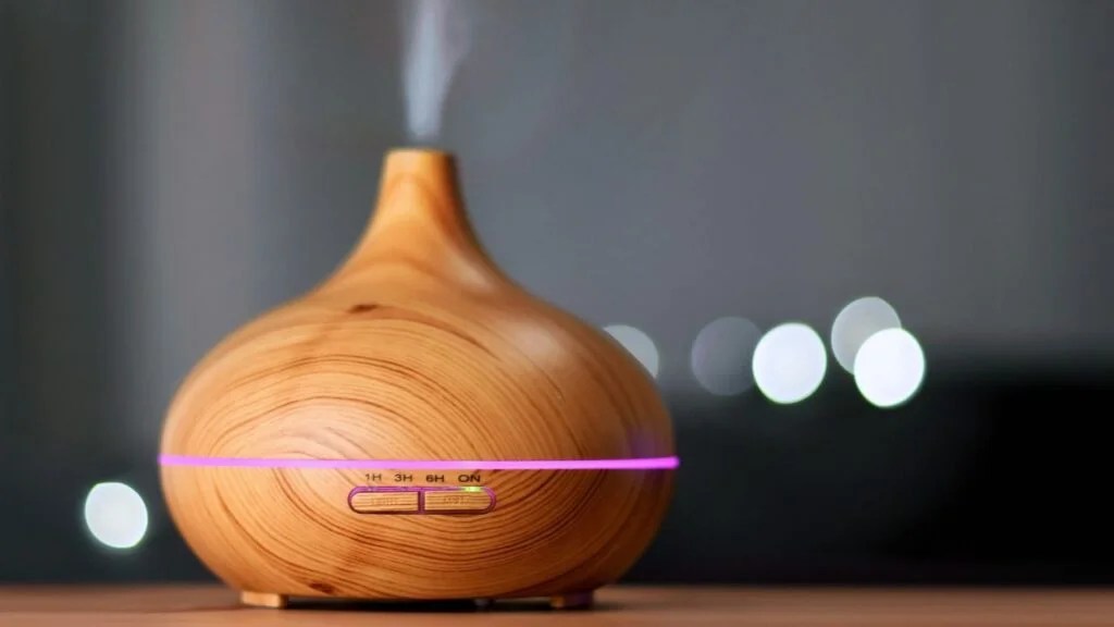 Oil Diffuser vs Humidifier What Are the Differences? GuideByTips