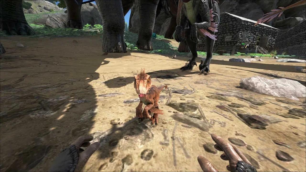 ARK Raptor How to Tame, Feed and Breed!