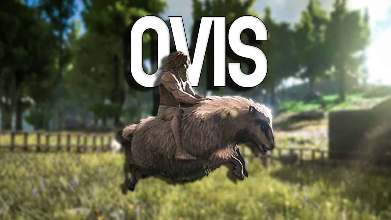 ARK Ovis How to Tame, Feed and Breed!