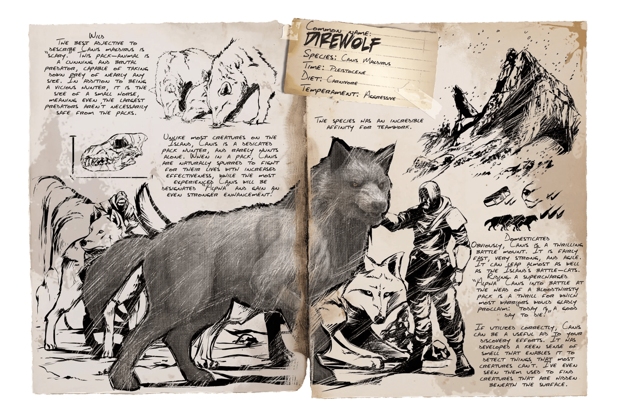 ARK Direwolf How to Tame, Feed and Breed!