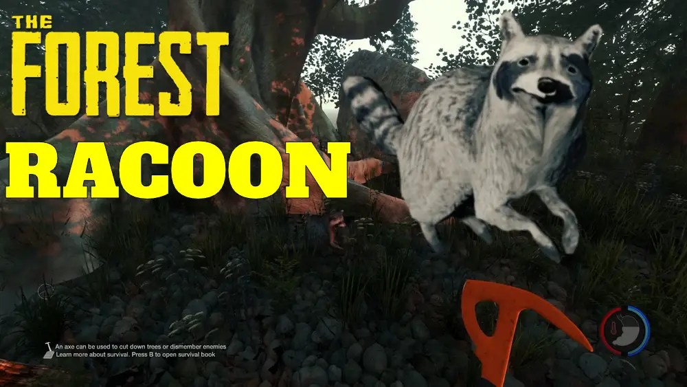 The Forest: This Is Where You Can Find Raccoons