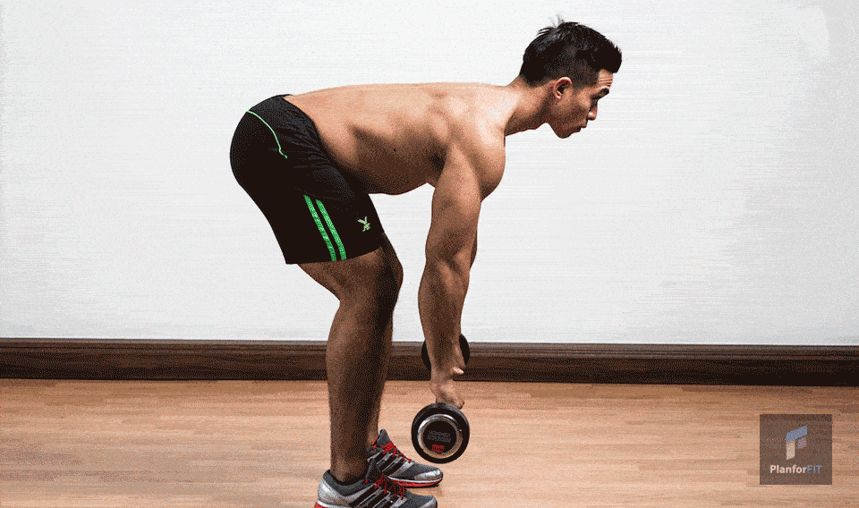 Le rowing à la barre buste penché pour se muscler le dos