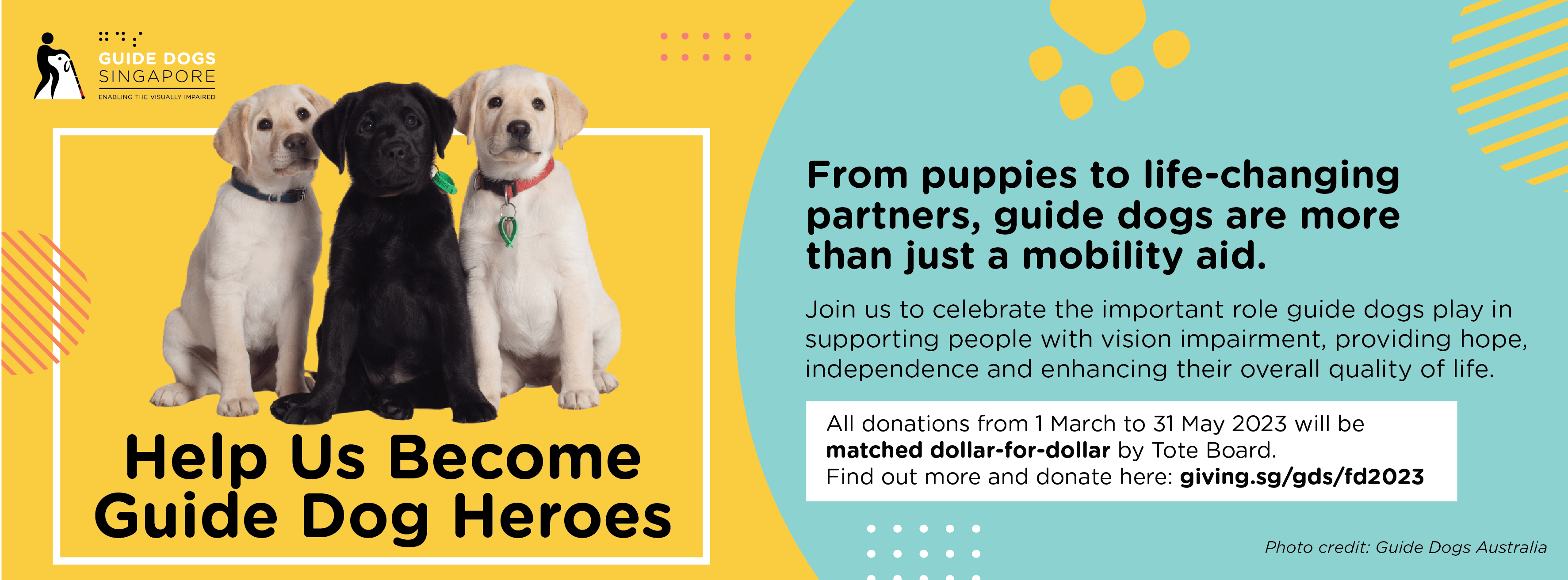 Help Us Guide Dog Heroes