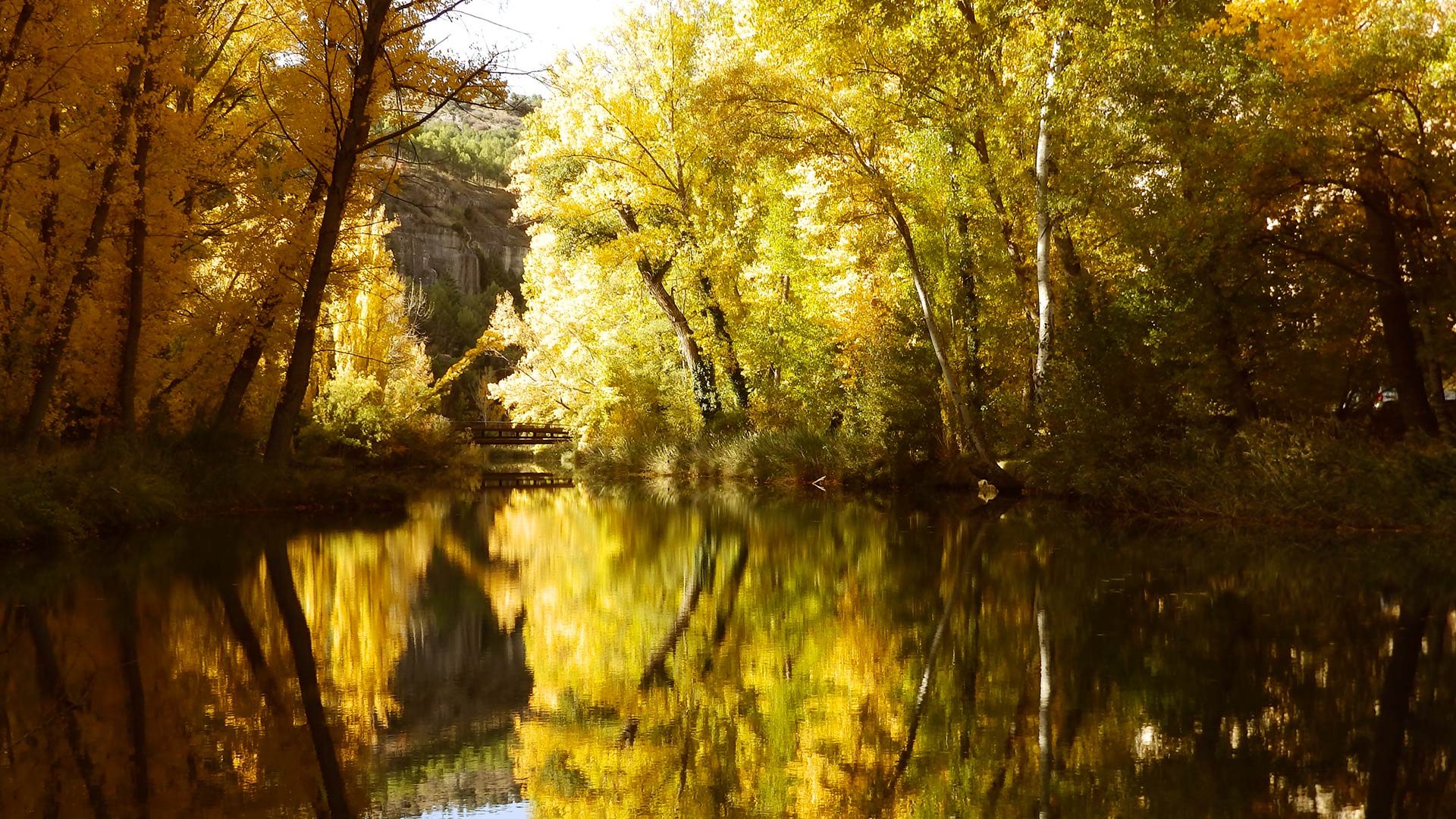 Fall Foliage Tours Guided Tours In Cuenca GUIDED TOURS CUENCA