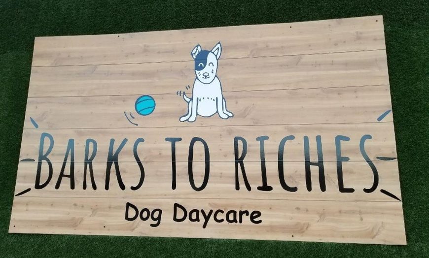 Dog Boarding In Tampa Florida