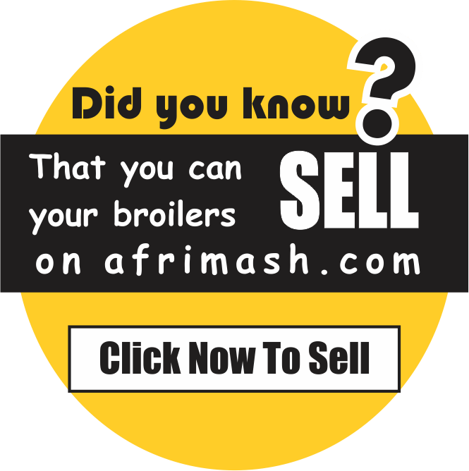 7 Proven Ways to Market, Sell Broiler Chickens Anytime Guidefreak