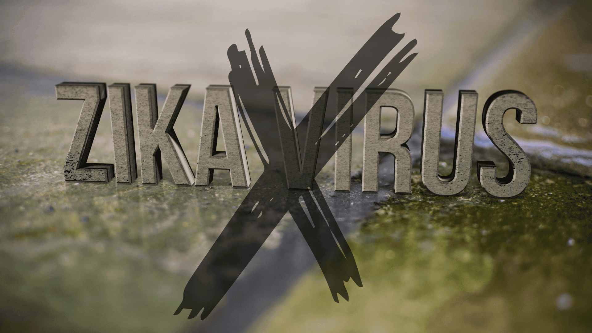 Zika Free Destinations in 2023