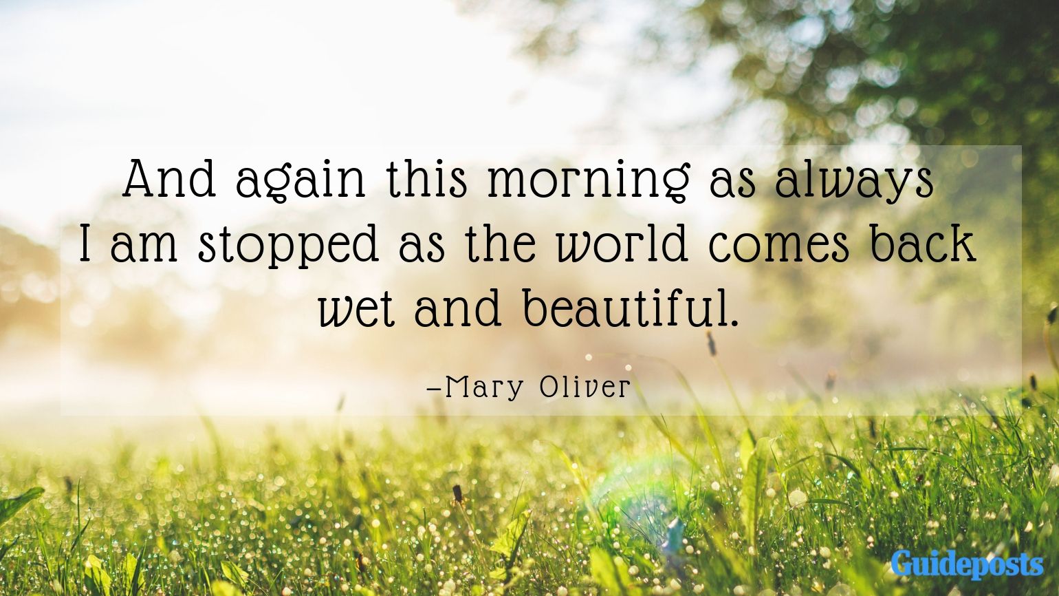 10 Inspiring Quotes from Poet Mary Oliver Guideposts