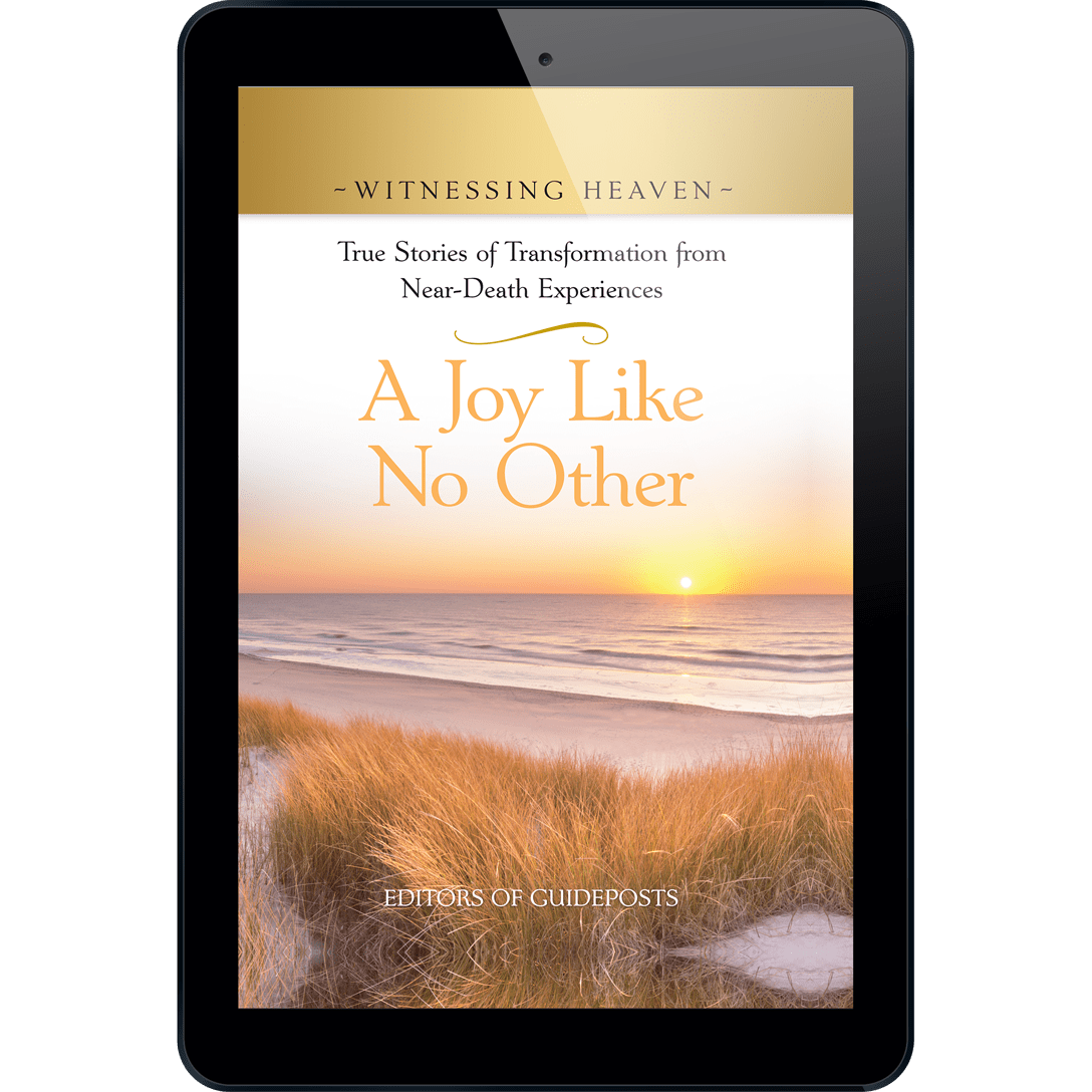 Witnessing Heaven Book 7 A Joy Like No Other ePDF(04)