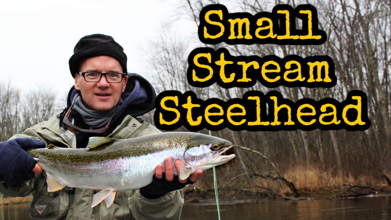 Amnesia for Fly Fishing Sighter and Running Line for Salmon and