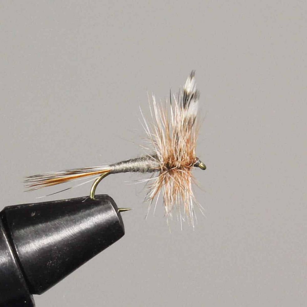 15 Best Flies for Rainbow Trout (with videos to setup) Guide