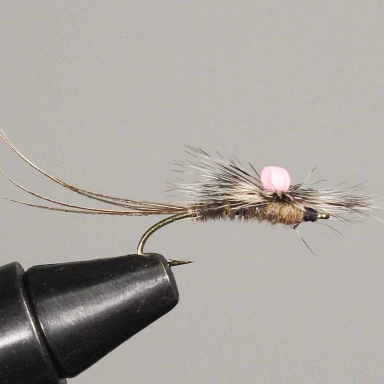 15 Best Flies for Rainbow Trout (with videos to setup) Guide