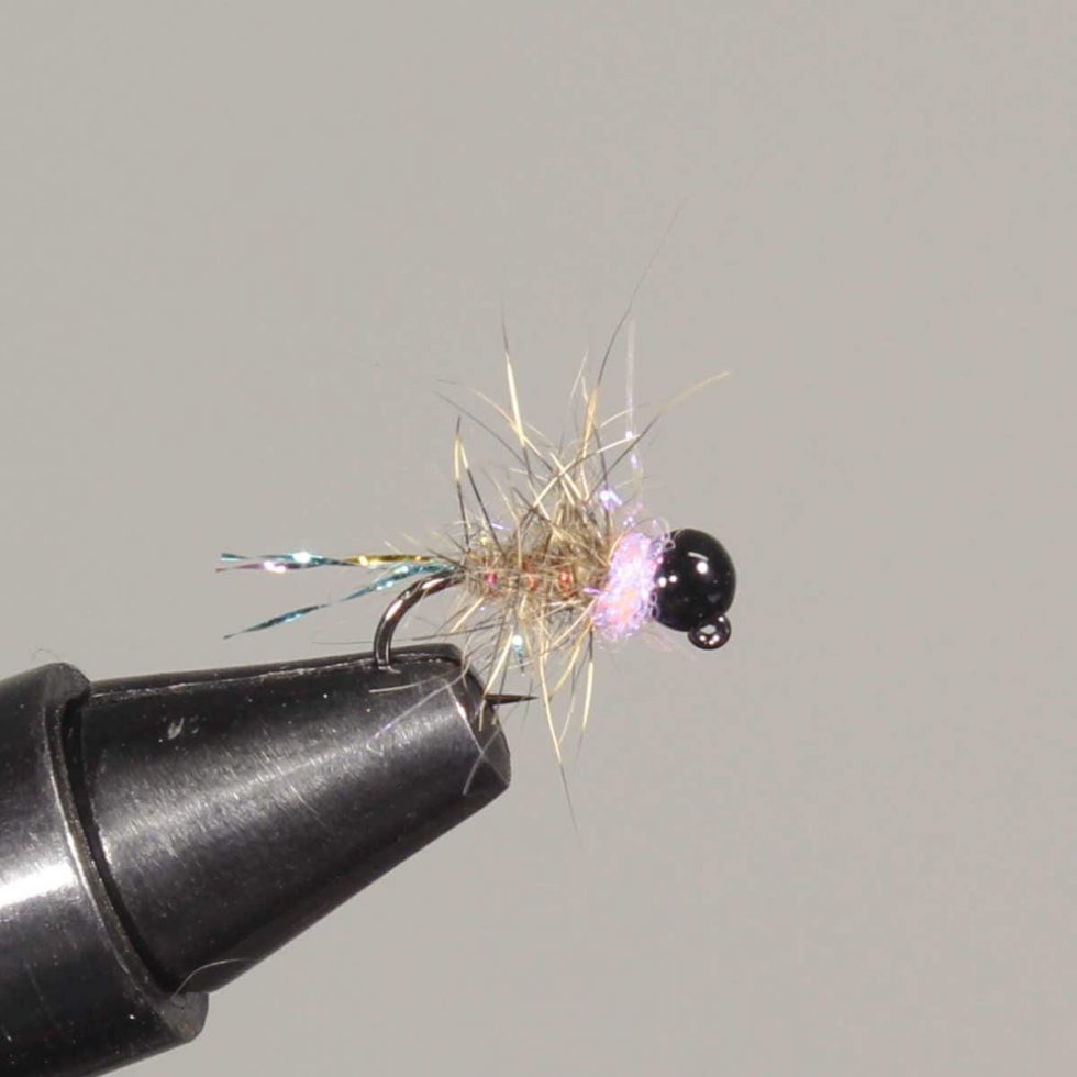 15 Best Flies for Rainbow Trout (with videos to setup) Guide