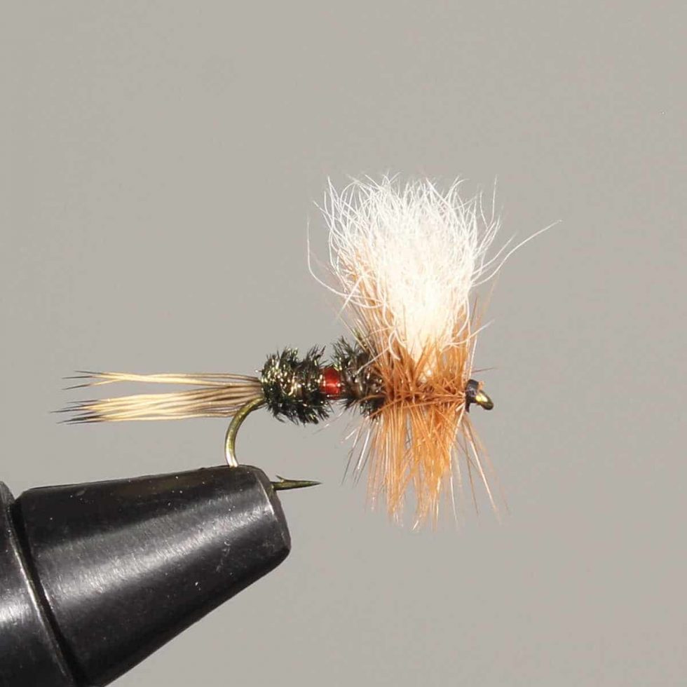 15 Best Flies for Rainbow Trout (with videos to setup) Guide