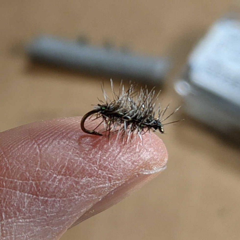 Fly Fishing Entomology Bugs that Catch Trout Guide