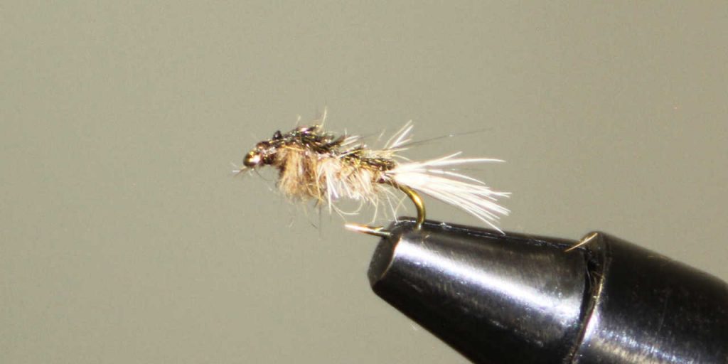 Fly Fishing Entomology Bugs that Catch Trout Guide