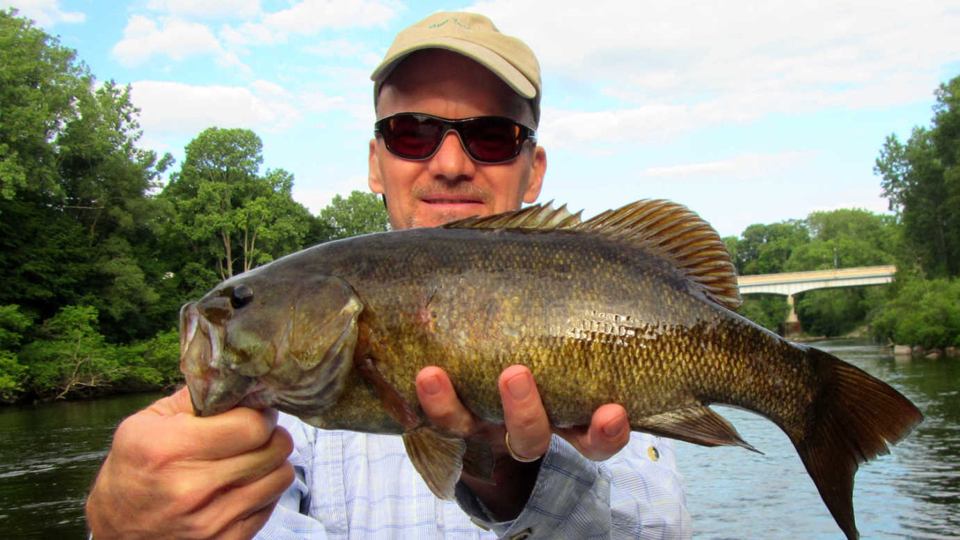 Bass Flies (21 Proven Fly Fishing Patterns That Catch Bass!) Guide
