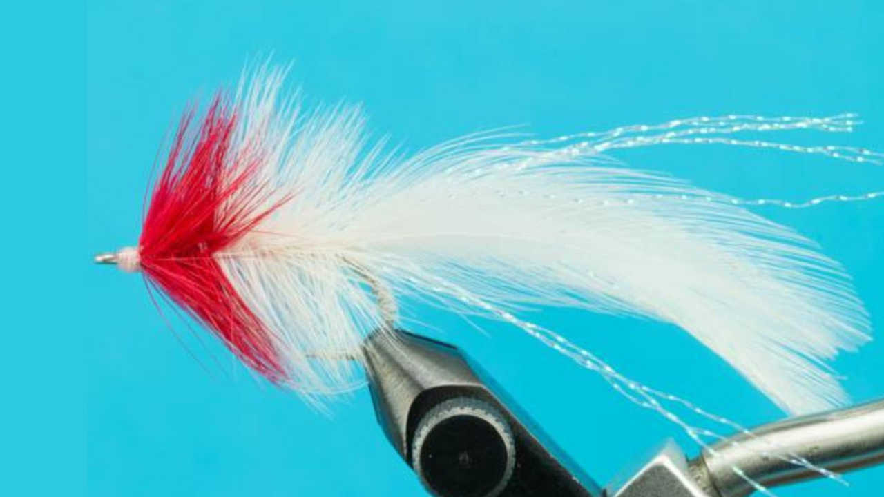 11 Best Flies for Catching Pike (Plus a Setup Guide) Guide