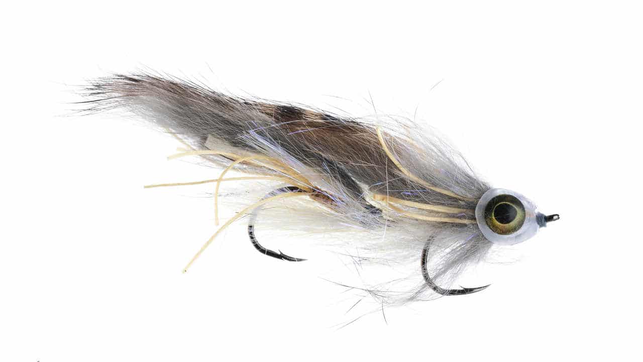 11 Best Flies for Lake Trout (Plus How to Setup and Tie) Guide