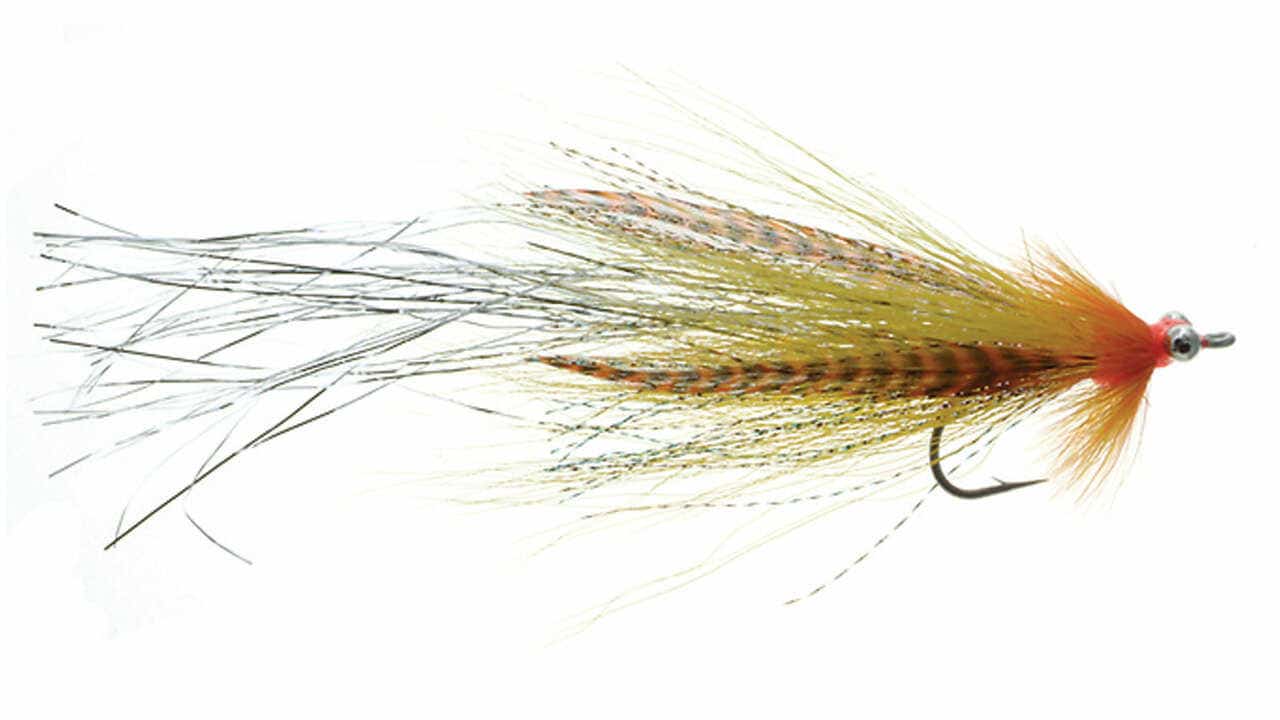 11 Best Flies for Snook (Plus Tips Catching More) Guide