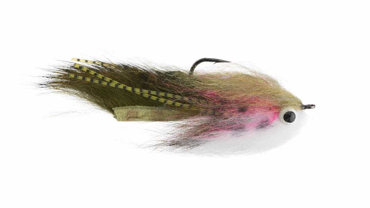 11 Best Flies for Lake Trout (Plus How to Setup and Tie) Guide