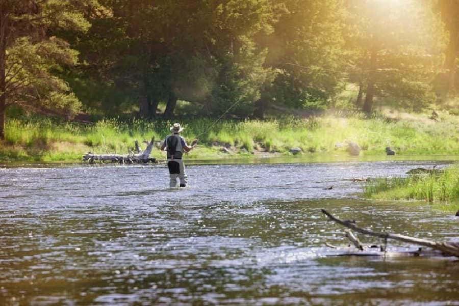 Can You Only Fly Fish in Rivers? (Get a PDF Guide For Lakes) Guide