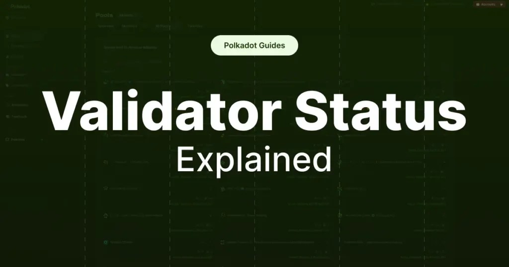 Polkadot validator statuses explained Polkadot Guides