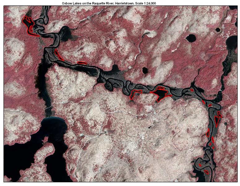 Oxbow Lake/Pond Guide New York Natural Heritage Program