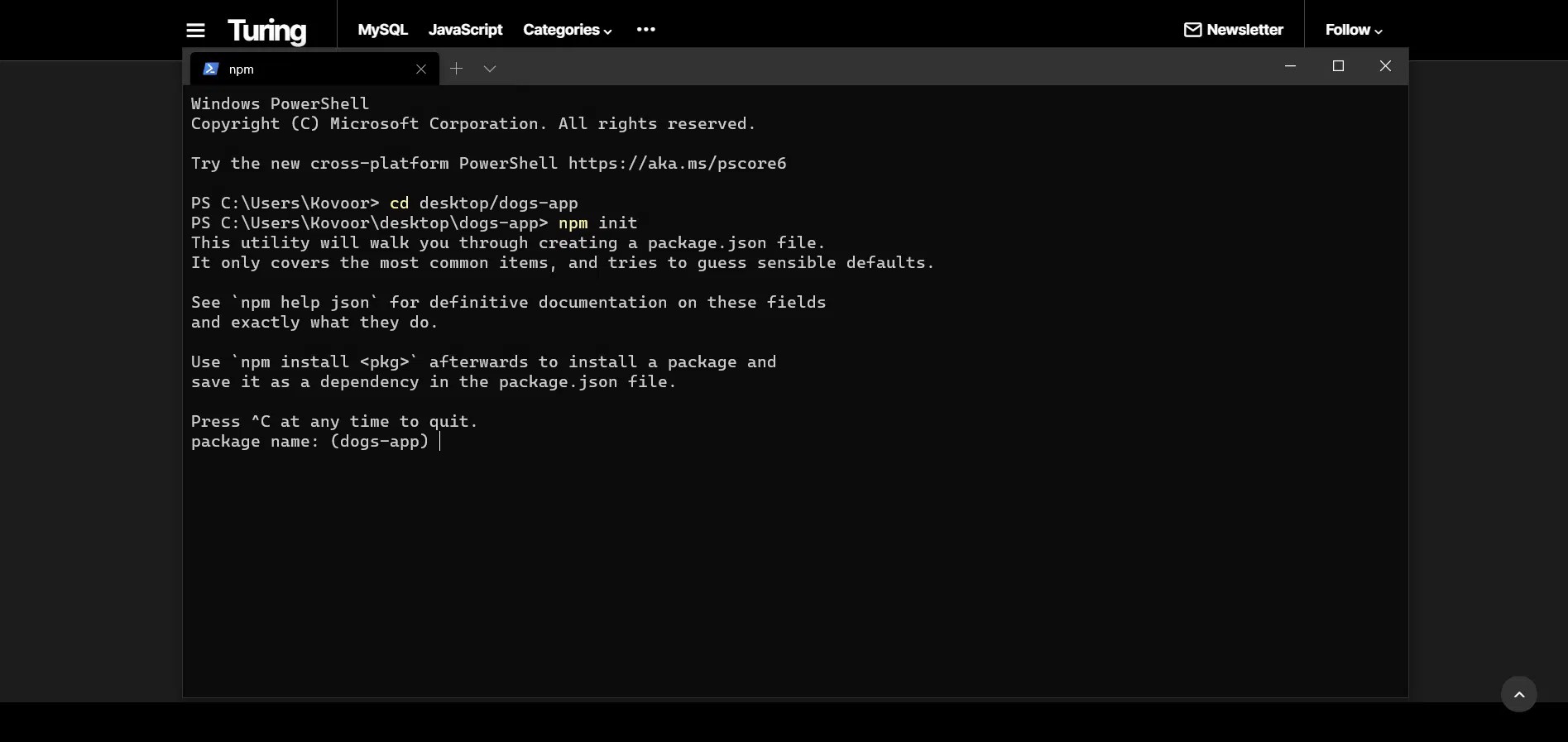 How To Install Node.Js And NPM On Windows And Mac [2020] Turing
