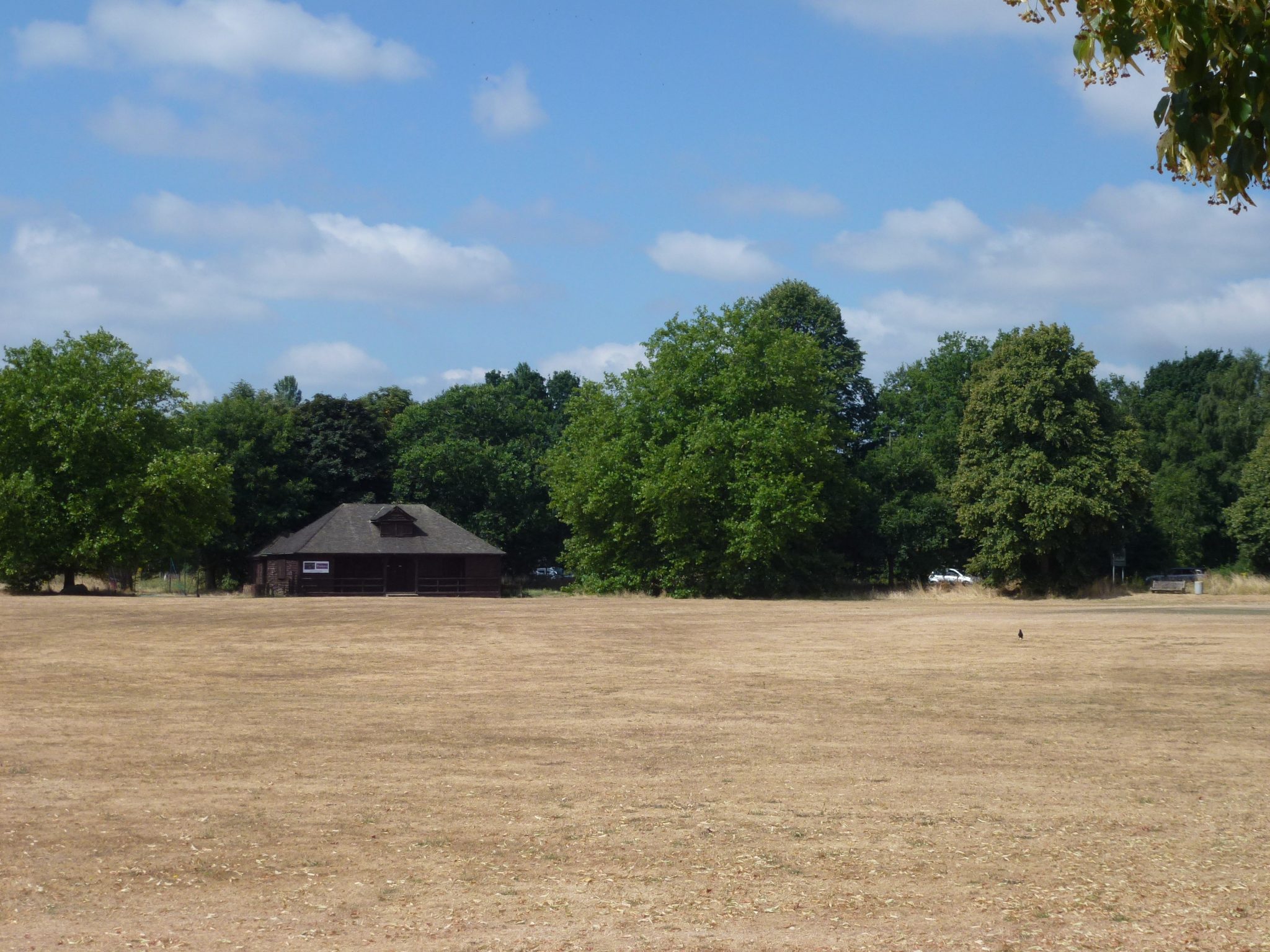 Guildford Dragon NEWS