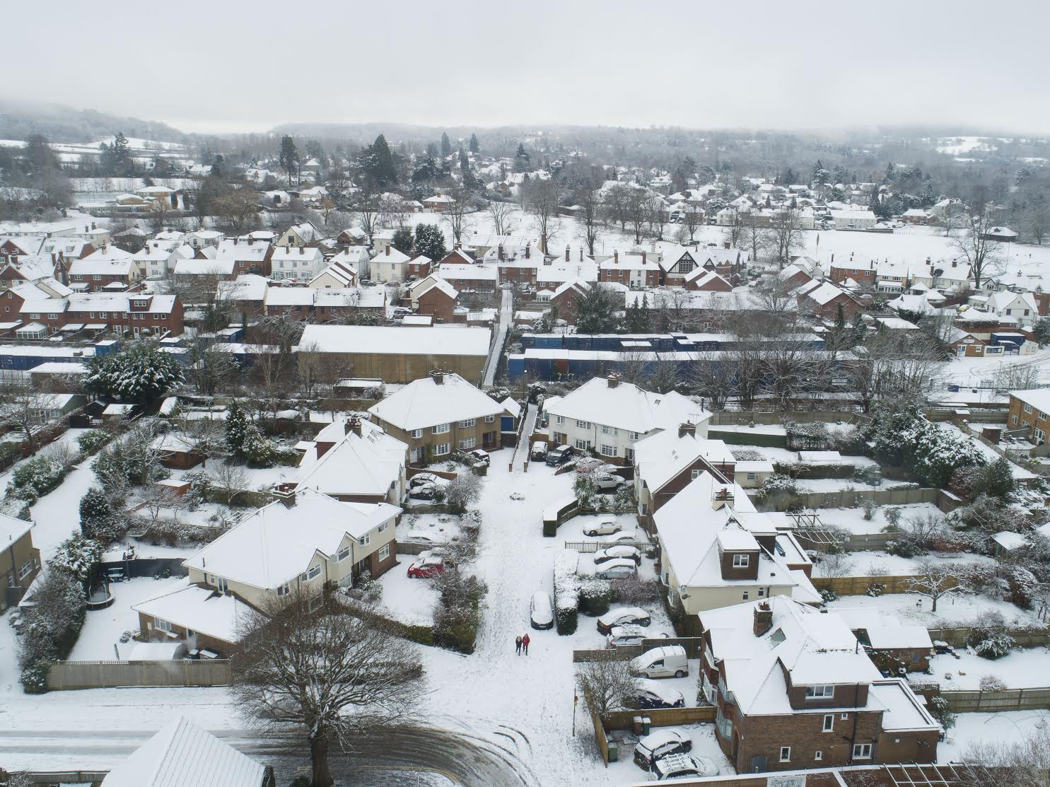 Guildford Dragon NEWS