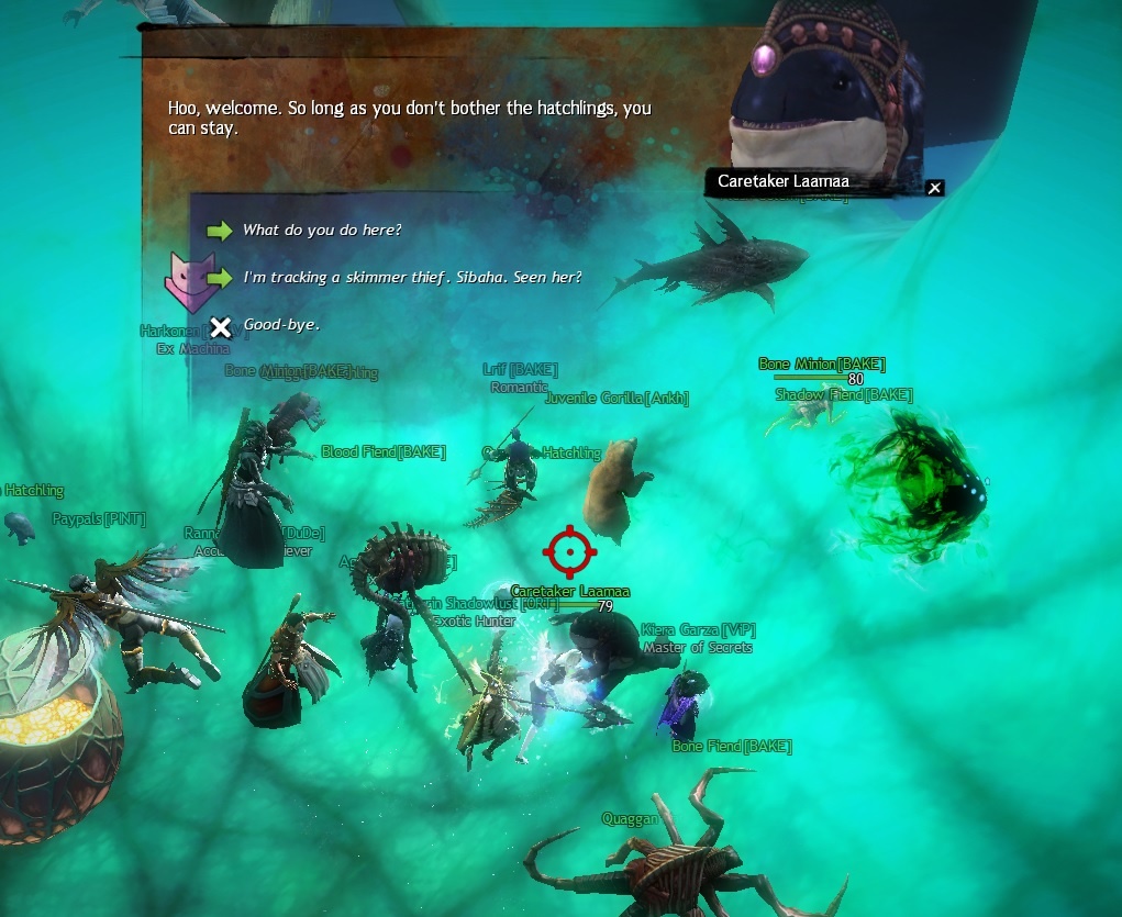 GW2 Skimmer Mastery Collection Guide Finding Sibaha GuildJen