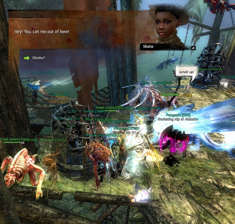 GW2 Skimmer Mastery Collection Guide Finding Sibaha GuildJen