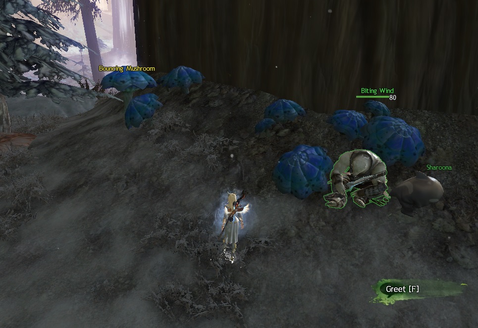 GW2 A Crack in the Ice Achievements Guide GuildJen