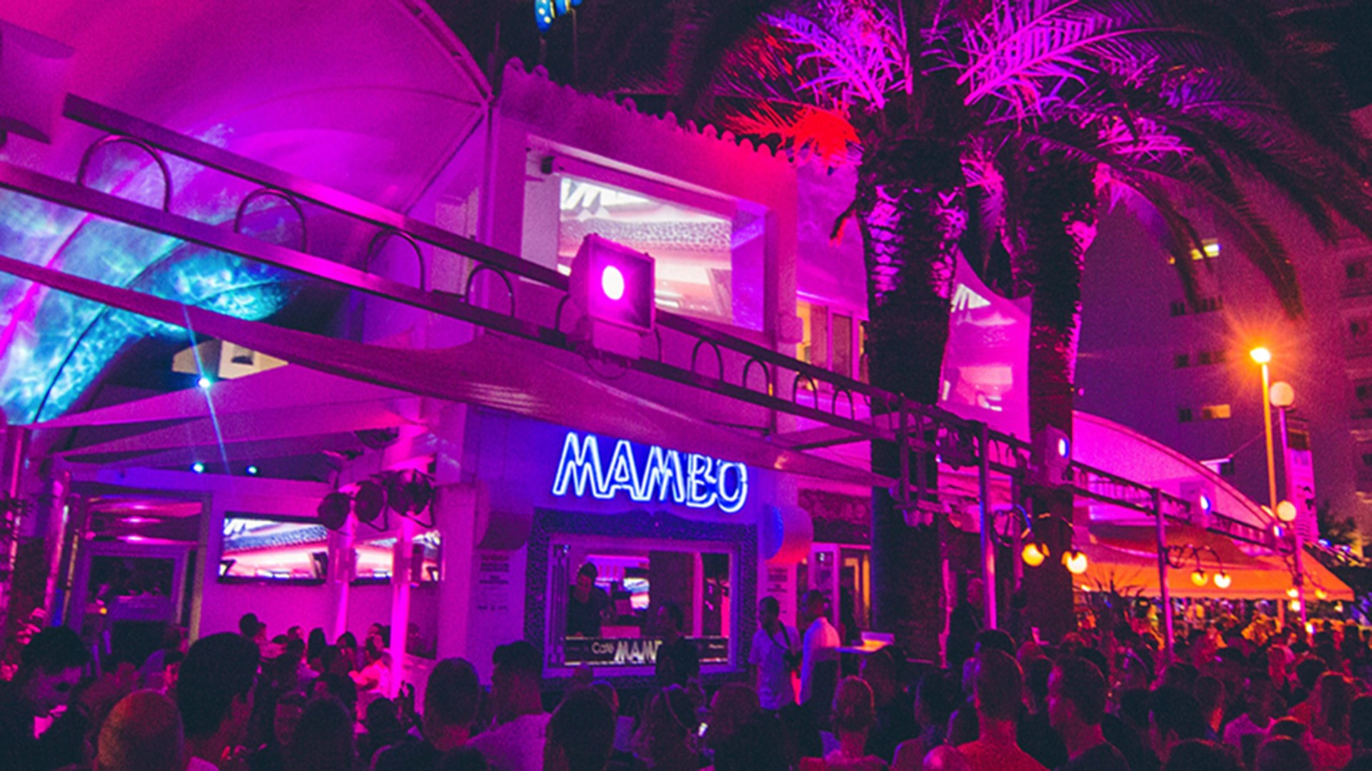 Café mambo Guillermo Blanco Interior Designer