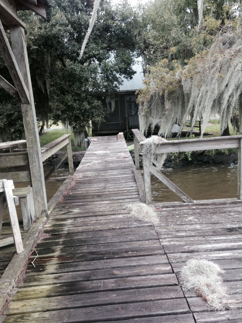 851 Shell Beach Road, Pierre Part, LA 70339 Guillot Realty