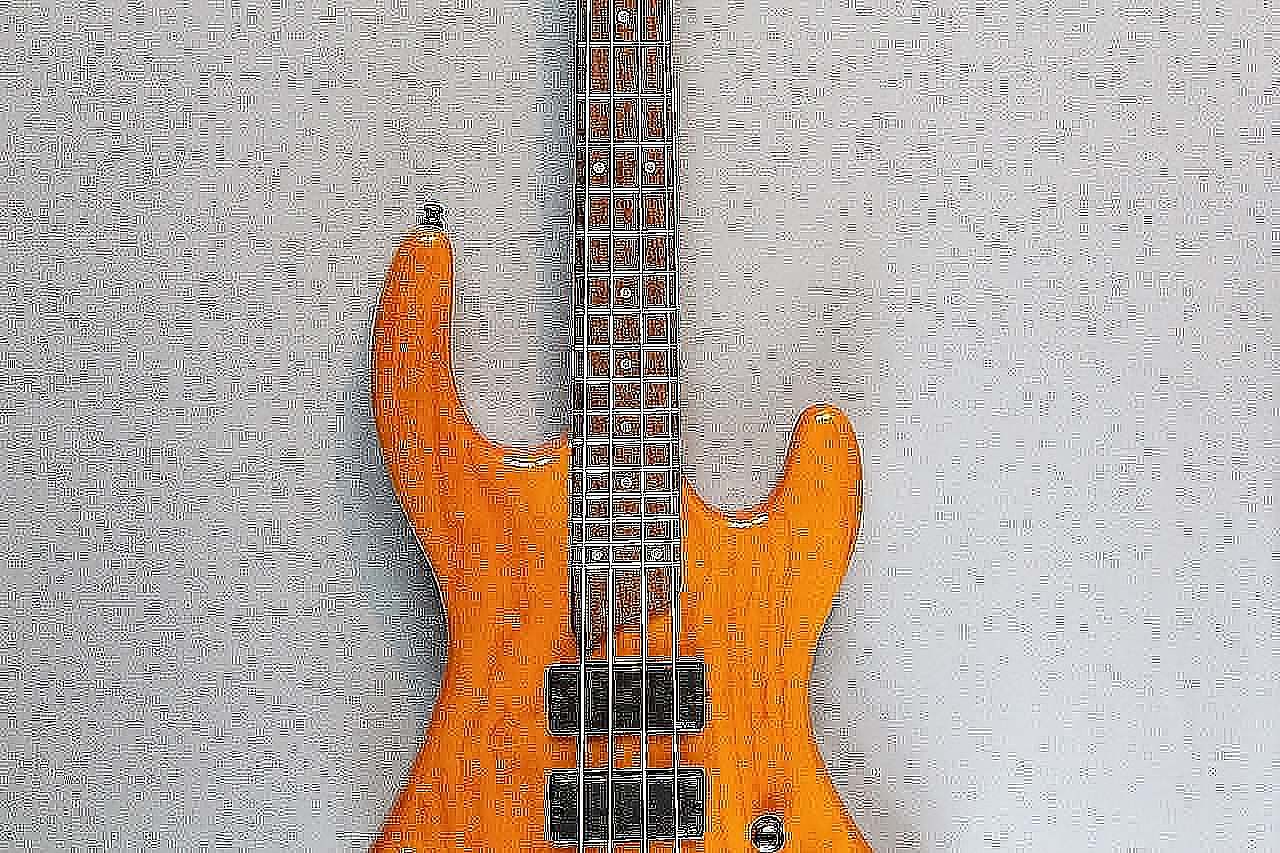Esh Souvereign 4 String American Guitar Shop Gitarren in Berlin