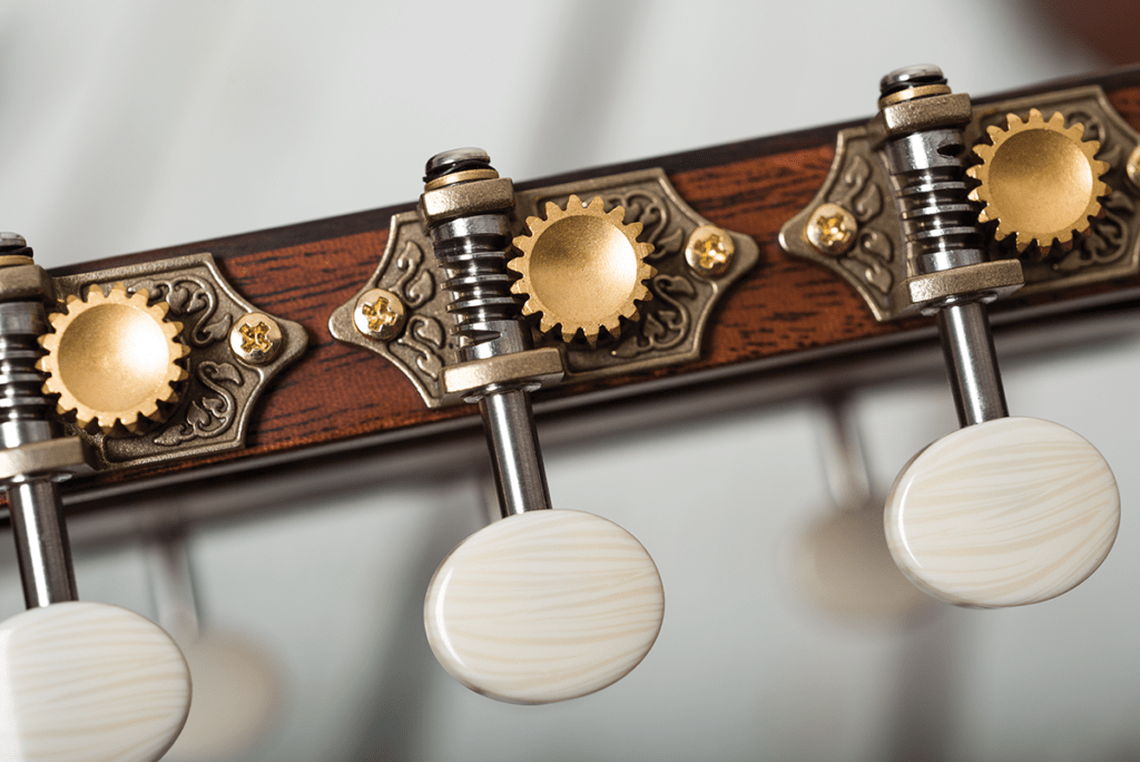 Taylor 322ce & 510e Acoustic Guitars Review Solid Performers