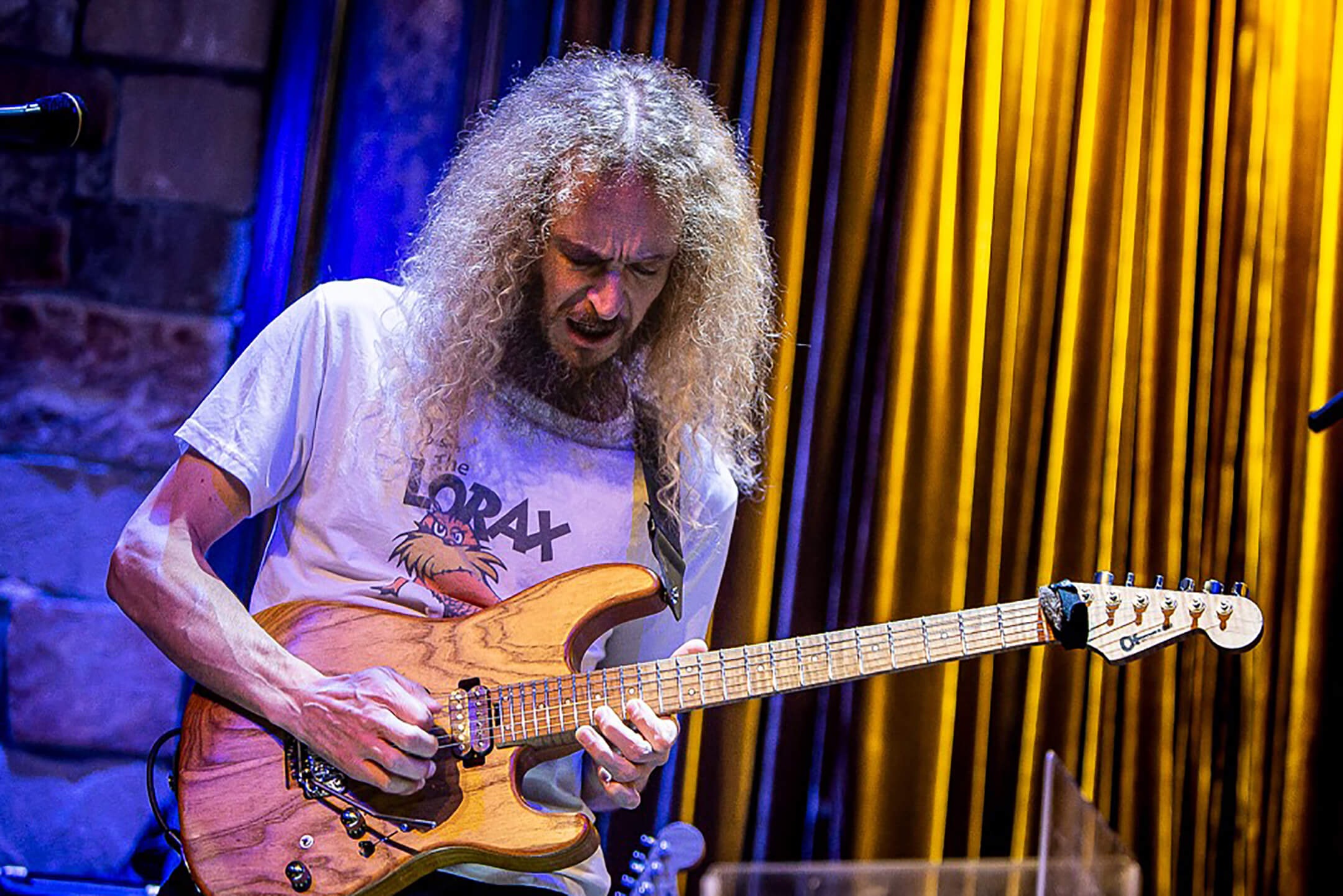General Interest Norse Guitar(04)