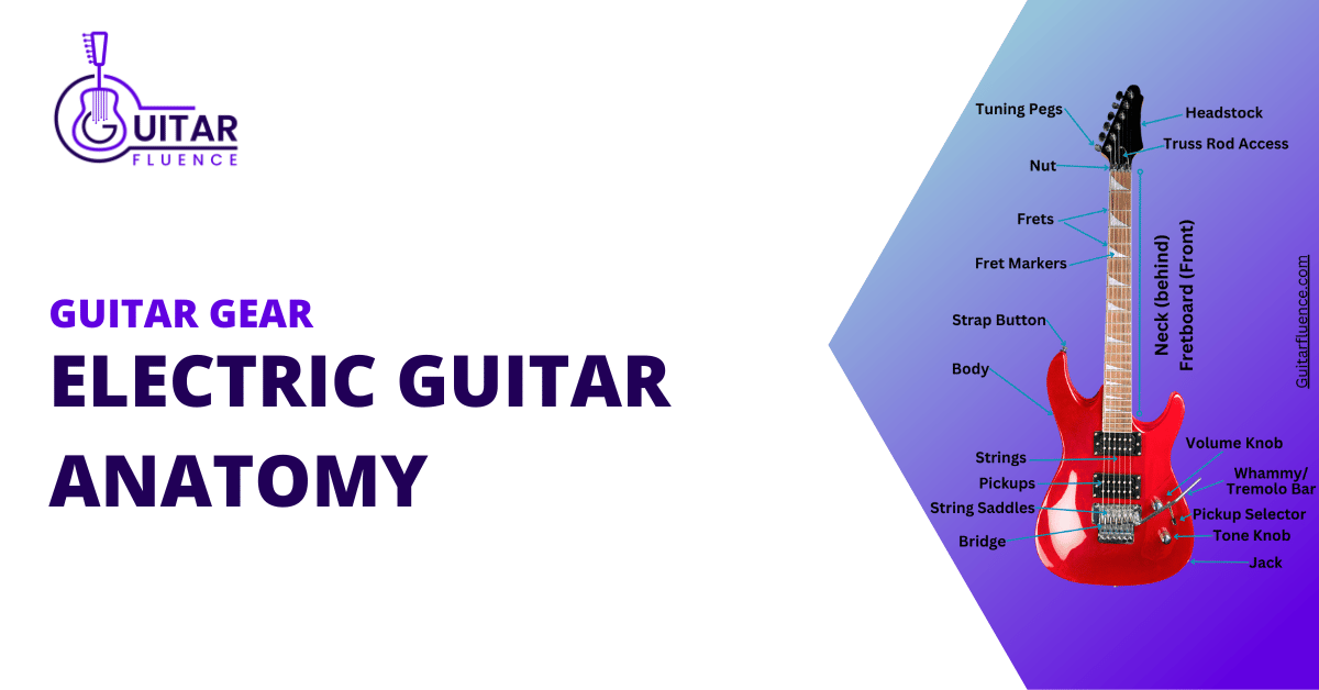 Electric Guitar Anatomy (Detailed, 18Part Diagram) Guitarfluence
