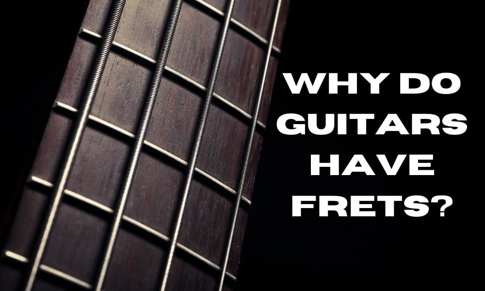 Why Do Guitars Have Frets? Guitar Gear Lab