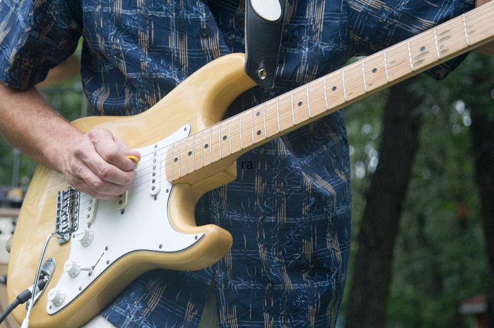 Choosing the Best Electric Guitar for Blues Guitar Lessons Twin Cities