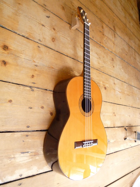 Bassgitarre Guitarras Calliope